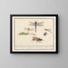 Ensemble de sciences naturelles n° 2 Feuille de mélange - Anselmus Botius de Boodt — framed artwork on a wall