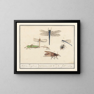 Ensemble de sciences naturelles n° 2 Feuille de mélange - Anselmus Botius de Boodt — framed artwork on a wall