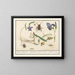 Ensemble de l'histoire naturelle n° 6 Feuille de mélange - Anselmus Botius de Boodt — framed artwork on a wall
