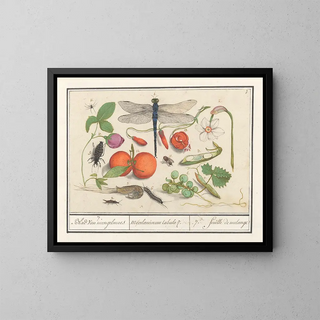 Natural history set No. 7 Mixing sheet - Anselmus Botius de Boodt — framed artwork on a wall