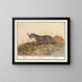 Otter (Lutra lutra) - Anselmus Botius de Boodt — framed artwork on a wall
