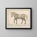 Horse - Anselmus Botius de Boodt — framed artwork on a wall
