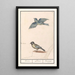Reproduction of the painting Blue tit Cyanistes caeruleus and great tit Parus major - Anselmus Botius de Boodt