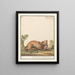 Poem Puma concolor Tigris fulvus Gougouar from Pennsylvania - Anselmus Botius de Boodt — framed artwork on a wall