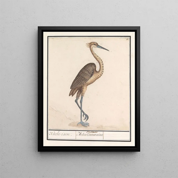 Heron Ardea - Anselmus Botius de Boodt — framed artwork on a wall
