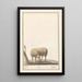 Reproduction of the painting Sheep Ovis aries schaep Ram ovus aries ewe bellier - Anselmus Botius de Boodt