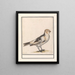 Sneeuwgors Plectrophenax nivalis - Anselmus Botius de Boodt — framed artwork on a wall