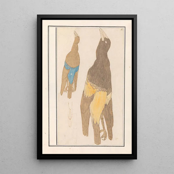 Reproduction of the painting of Two Birds - Anselmus Botius de Boodt