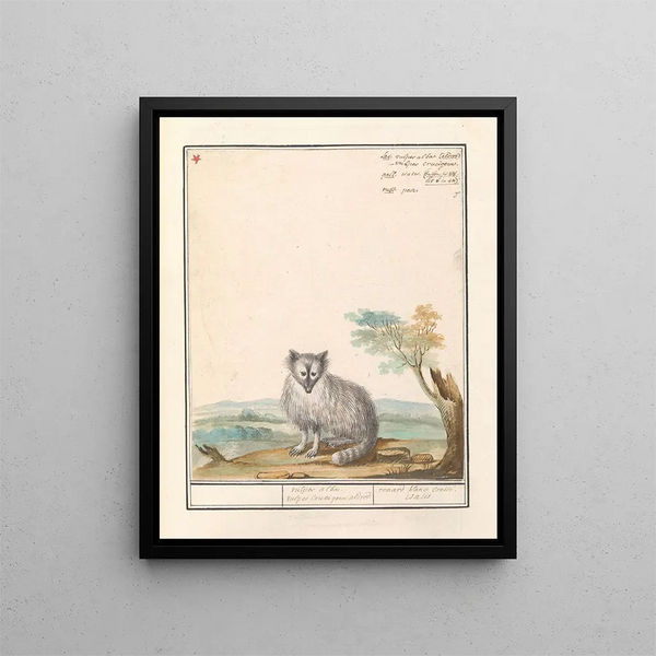 Vos Renards renards renards renards blancs Crucigera aldvov renard fade crois isalis - Anselmus Botius de Boodt — framed artwork on a wall