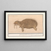 Morse Odobenus rosmarus Rosmarcus elephas Marinus Morse Elephant seal - Anselmus Botius de Boodt — framed artwork on a wall