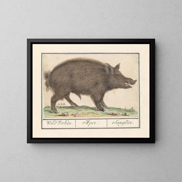 Wild Boar Painting - Anselmus Botius de Boodt — framed artwork on a wall