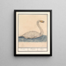 Swan singer Cygnus cygnus Zwaene Cignus Cigne - Anselmus Botius de Boodt — framed artwork on a wall
