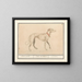 Greyhound - Anselmus Botius de Boodt — framed artwork on a wall