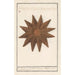 Reproduction of the painting Starfish Asteroidea Starfish Stella Marina Starfish - Anselmus Botius de Boodt