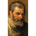 Head of a bearded man - Antoine van Dyck — artwork view