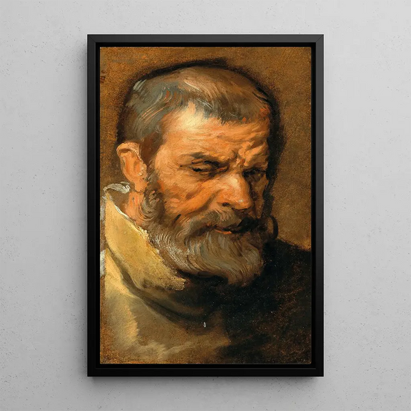 Head of a bearded man - Antoine van Dyck — framed artwork on a wall