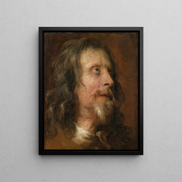Study of a Bearded Man - Antoine van Dyck — framed artwork on a wall