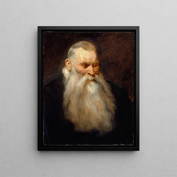 Study of an old man's head with a white beard - Antoine van Dyck — framed artwork on a wall