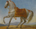 The Arab Horse of Bonaparte Marengo - Antoine-Jean Gros — artwork view