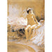 Reproduction of the painting Odalisque sitting in front of a pool - Antoine Calbet
