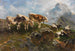 Chèvres et moutons en haute montagne - Anton Braith — artwork view
