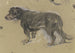 Teckel Painting facing left - Anton Burger — artwork view