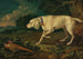 a hunting dog with a pheasant - Anton Enzinger — artwork view