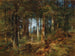 Forest of Pines - Anton Heinrich Dieffenbach — artwork view