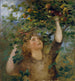 Girl Picking Apples - Anton Romako — artwork view