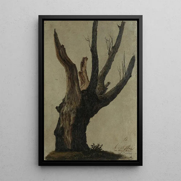 Reproduction of the painting Study of a Tree at the Prater - Anton Schiffer