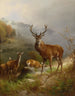Rotwild - Anton Schmitz — artwork view