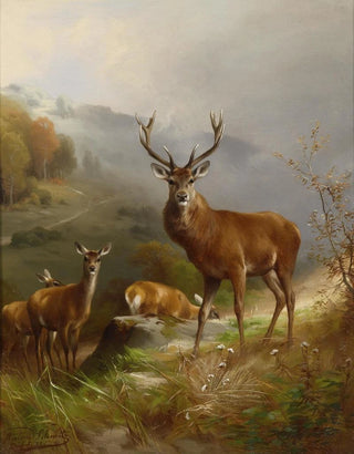 Rotwild - Anton Schmitz — artwork view