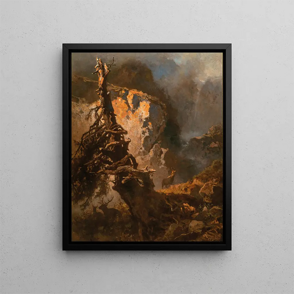 Chamois in high mountain - Anton Schrödl — framed artwork on a wall