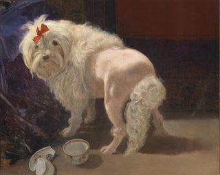 La coupe brisée - Anton Schrödl — artwork view