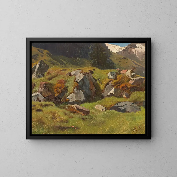 Study of Rocks at Ferleiten - Anton Schrödl — framed artwork on a wall