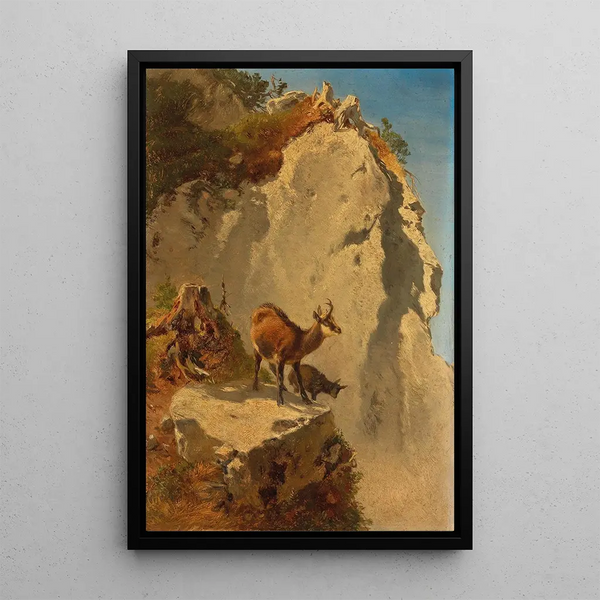 Two chamois in high mountain - Anton Schrödl — framed artwork on a wall