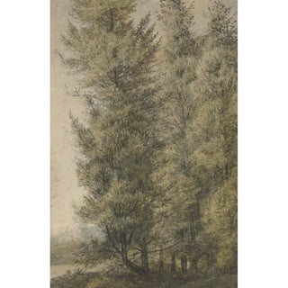 Reproduction of the painting of tall pines at the edge of a forest - Antonie Waterloo