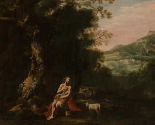 Saint John the Baptist in the Wilderness - Antonio de Bellis — artwork view