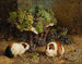 Guinea Pigs and a Basket of Grapes - Antonio delle Vedove — artwork view