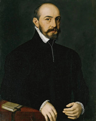 Portrait of a gentleman - Antonis Mor — artwork view