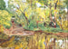 Stream in the forest - Antonín Hudeček — artwork view