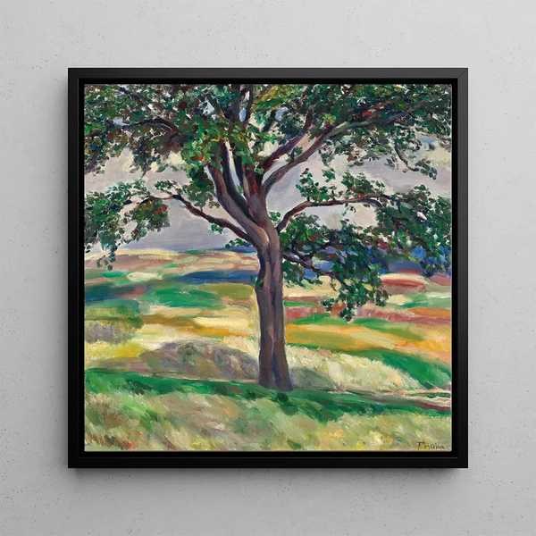 Tree - Jindřich Prucha — framed artwork on a wall