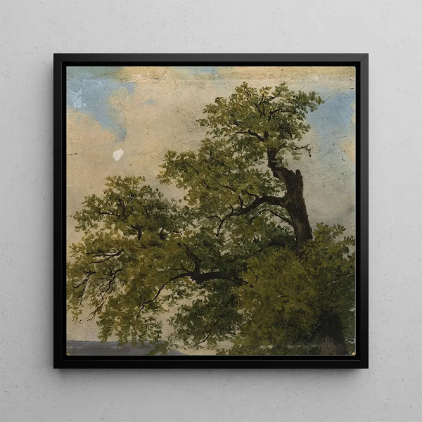 Trees - Julius Schoppe — framed artwork on a wall