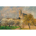 Reproduction of the painting Trees in Bloom at Langenzersdorf - Marie Egner
