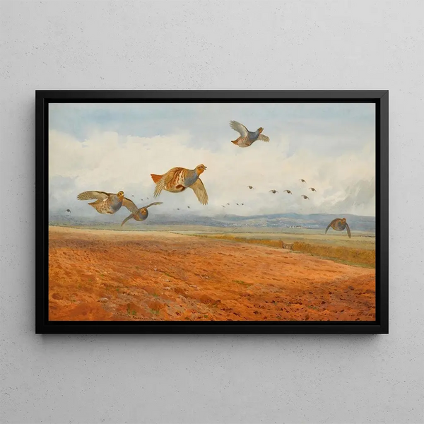 a Gray Partridge Company in Flight - Archibald Thorburn — framed artwork on a wall