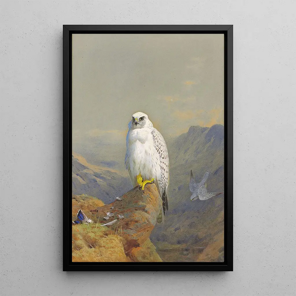Reproduction of the painting A Greenland falcon on a rocky promontory - Archibald Thorburn