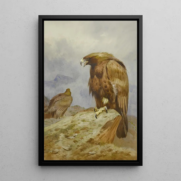 a pair of royal eagles - Archibald Thorburn — framed artwork on a wall