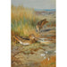A couple of snipe Gallinago Gallinago - Archibald Thorburn — artwork view