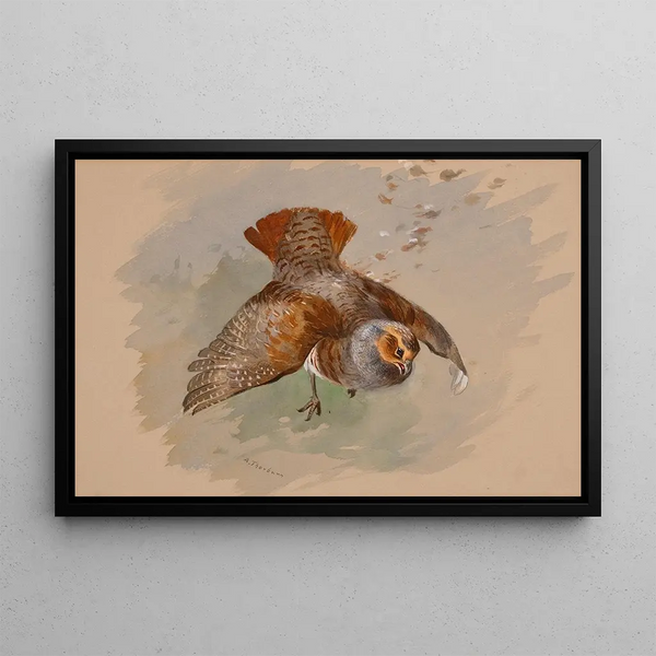 A high shot - Archibald Thorburn — framed artwork on a wall