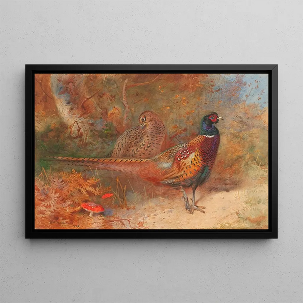 a rooster and a hen pheasants - Archibald Thorburn — framed artwork on a wall